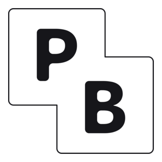 PocketBase logo